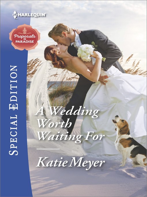 Title details for A Wedding Worth Waiting For by Katie Meyer - Wait list